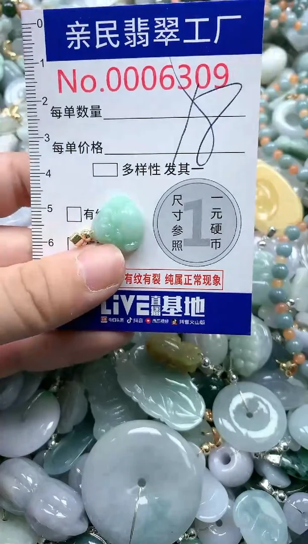 翡翠未镶嵌吊坠(不含链)6309
