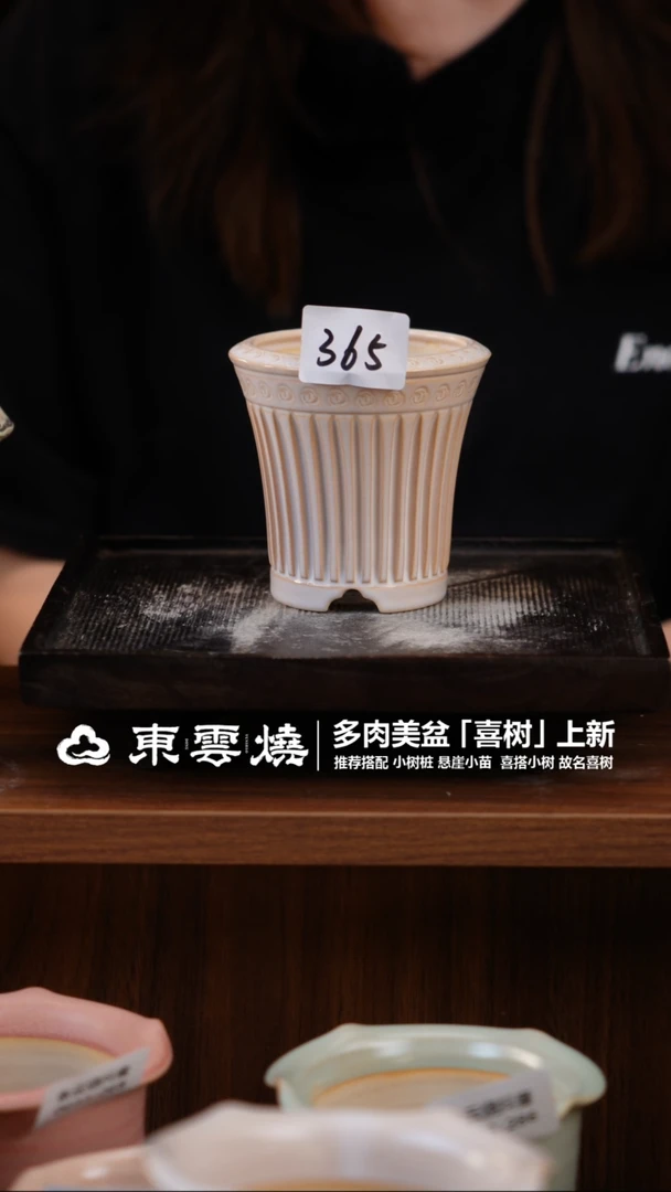 0603-365B  安娜口7