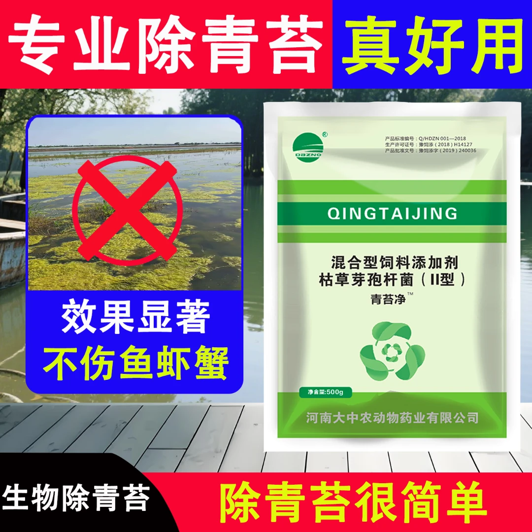 青苔净快速清苔除藻可去除剂生物除青苔不伤鱼虾蟹水产养殖专用