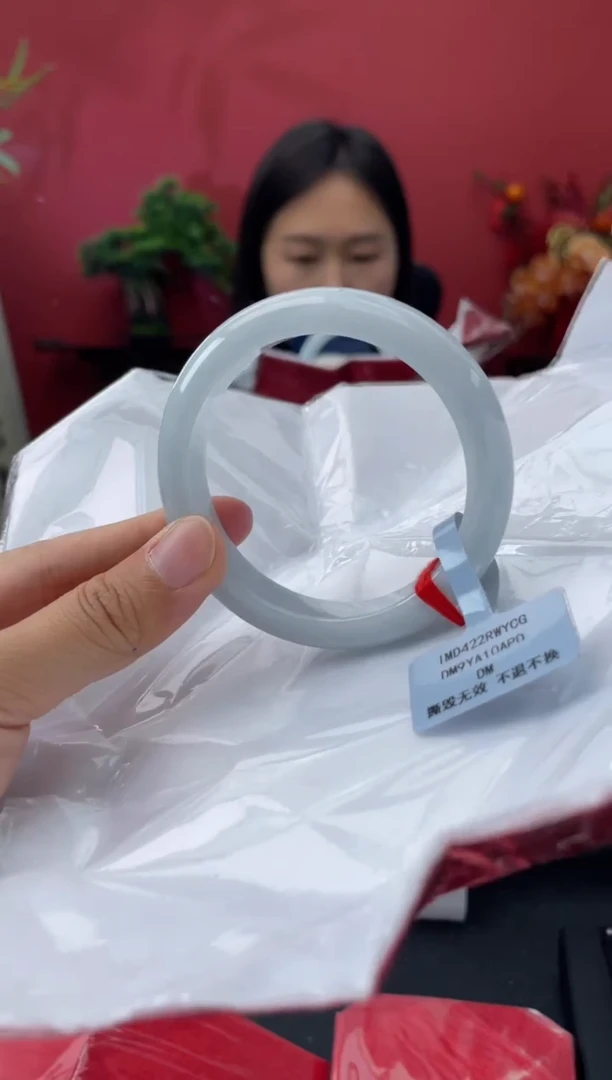 未镶嵌手镯翡翠4