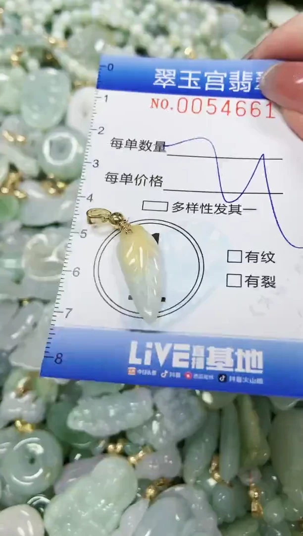 【闪购商品】翡翠颈饰未镶嵌闪购0054661