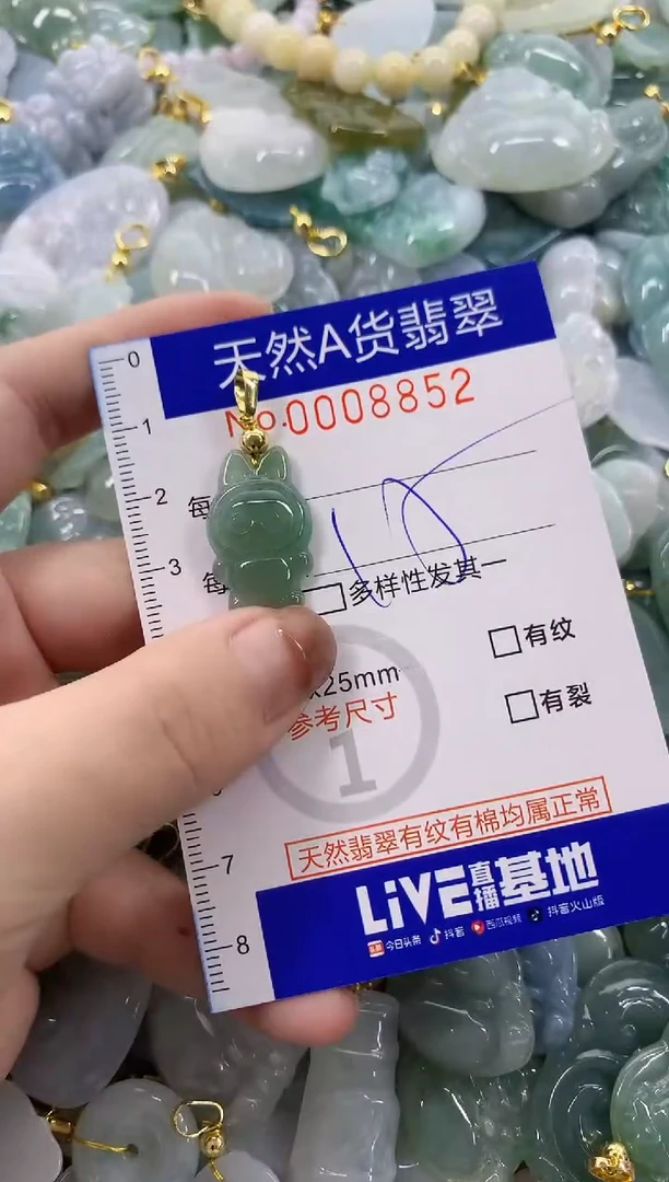 颈饰未镶嵌翡翠天然A货翡翠