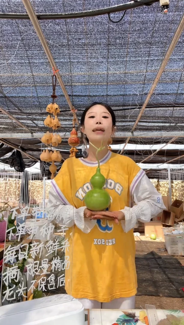 511天然葫芦摆件 一物一拍龙头不保售后