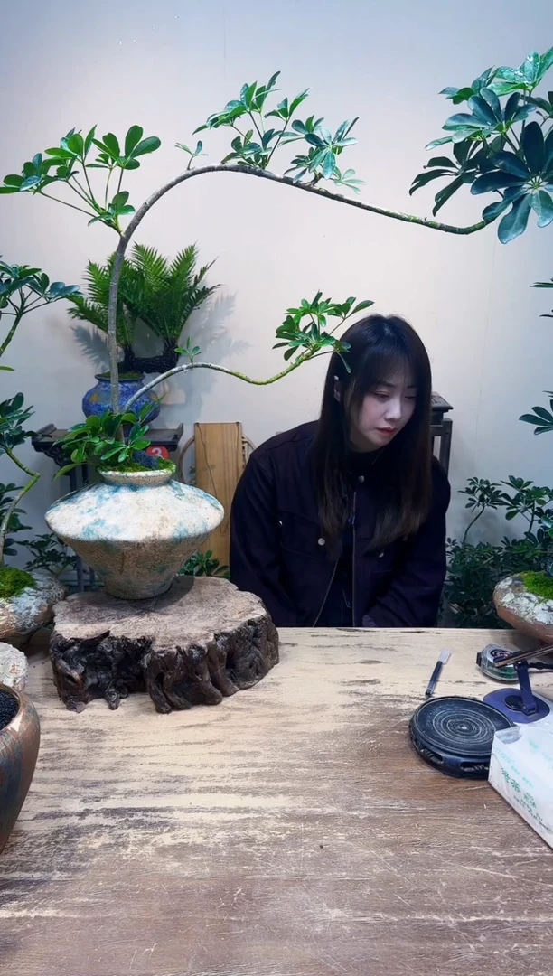 无花朵婷***️老朋友优惠价448