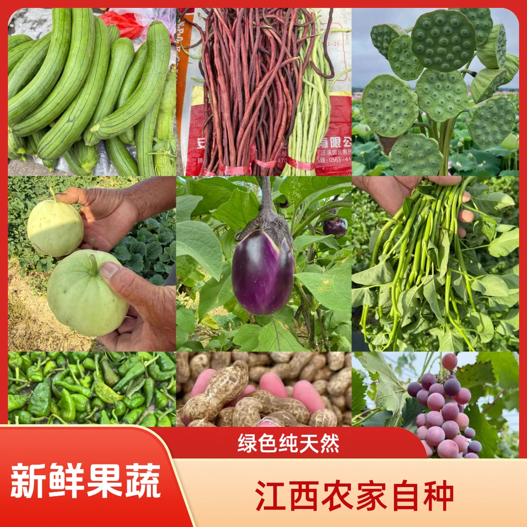 江西农村当季瓜果蔬菜自然健康的味道