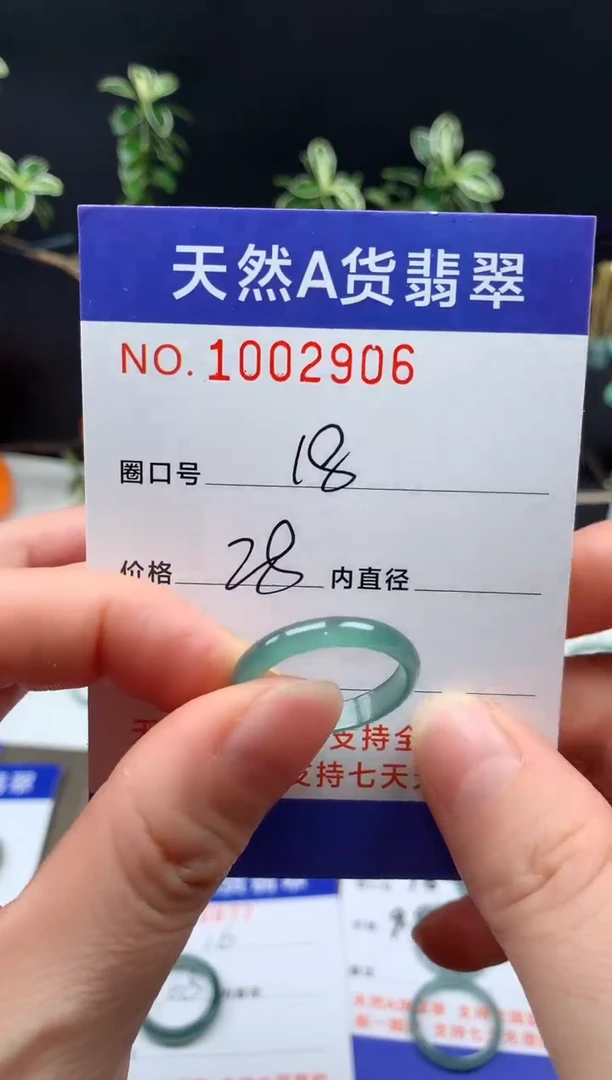 未镶嵌戒指翡翠18#