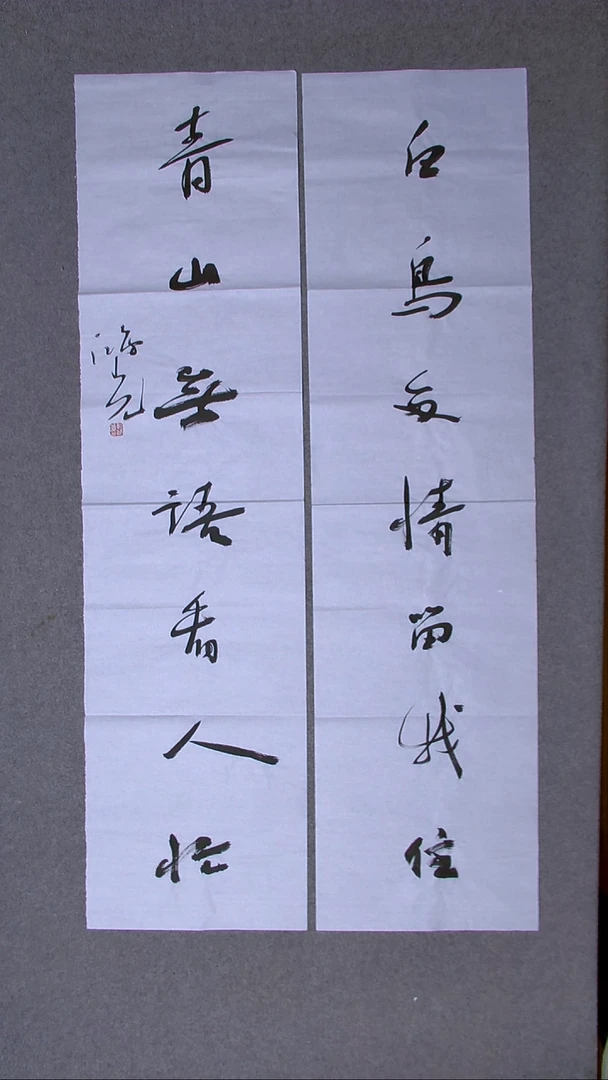 书法郭鸿光银川八平尺138*34*2