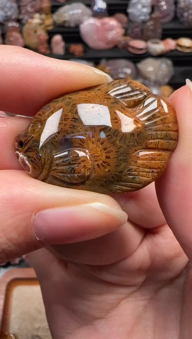 颈饰未镶嵌硅化珊瑚（珊瑚玉）902