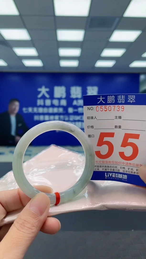 未镶嵌手镯翡翠AAAAAAAAAA
