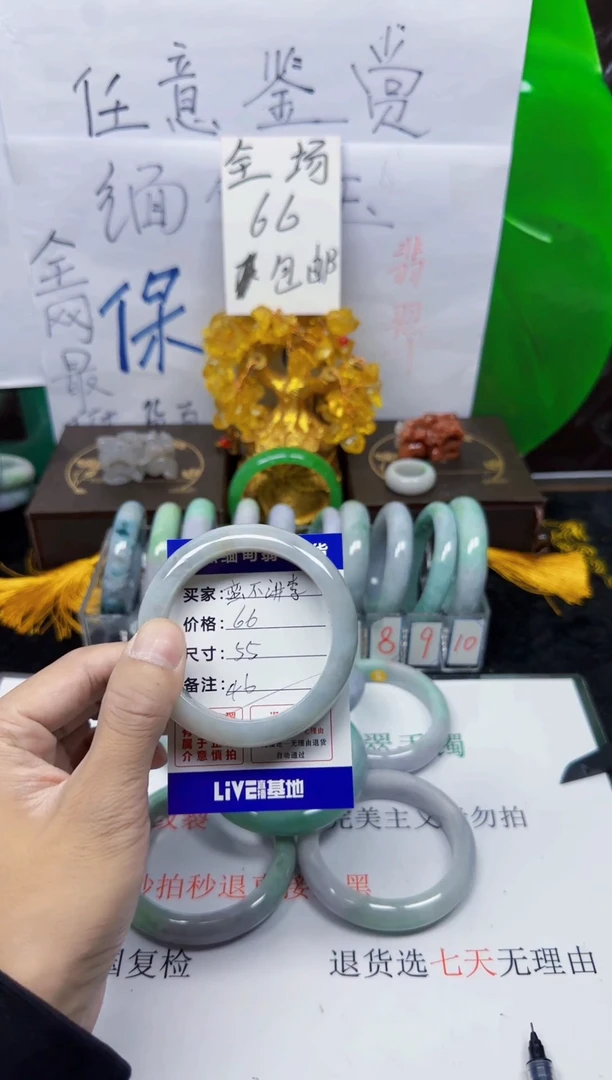 未镶嵌手镯翡翠?****?46