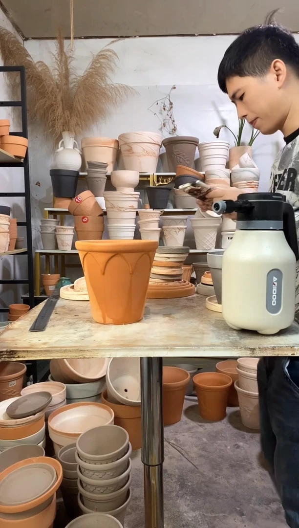 18*17红陶皇冠 1盆无托