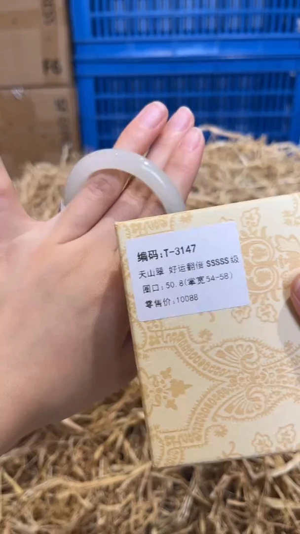 未镶嵌手镯石英质玉T-3147