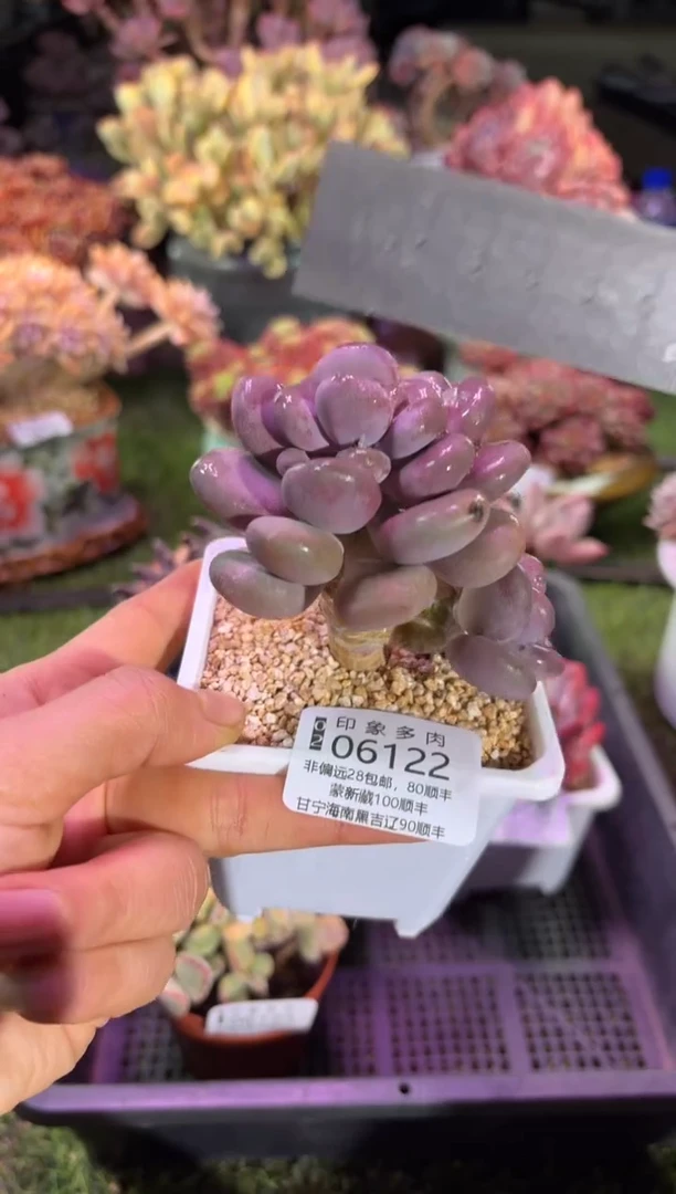 【闪购商品】06122