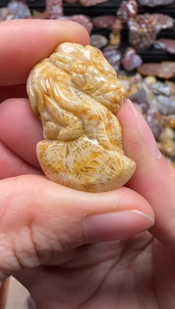 【闪购商品】硅化珊瑚（珊瑚玉）颈饰未镶嵌556