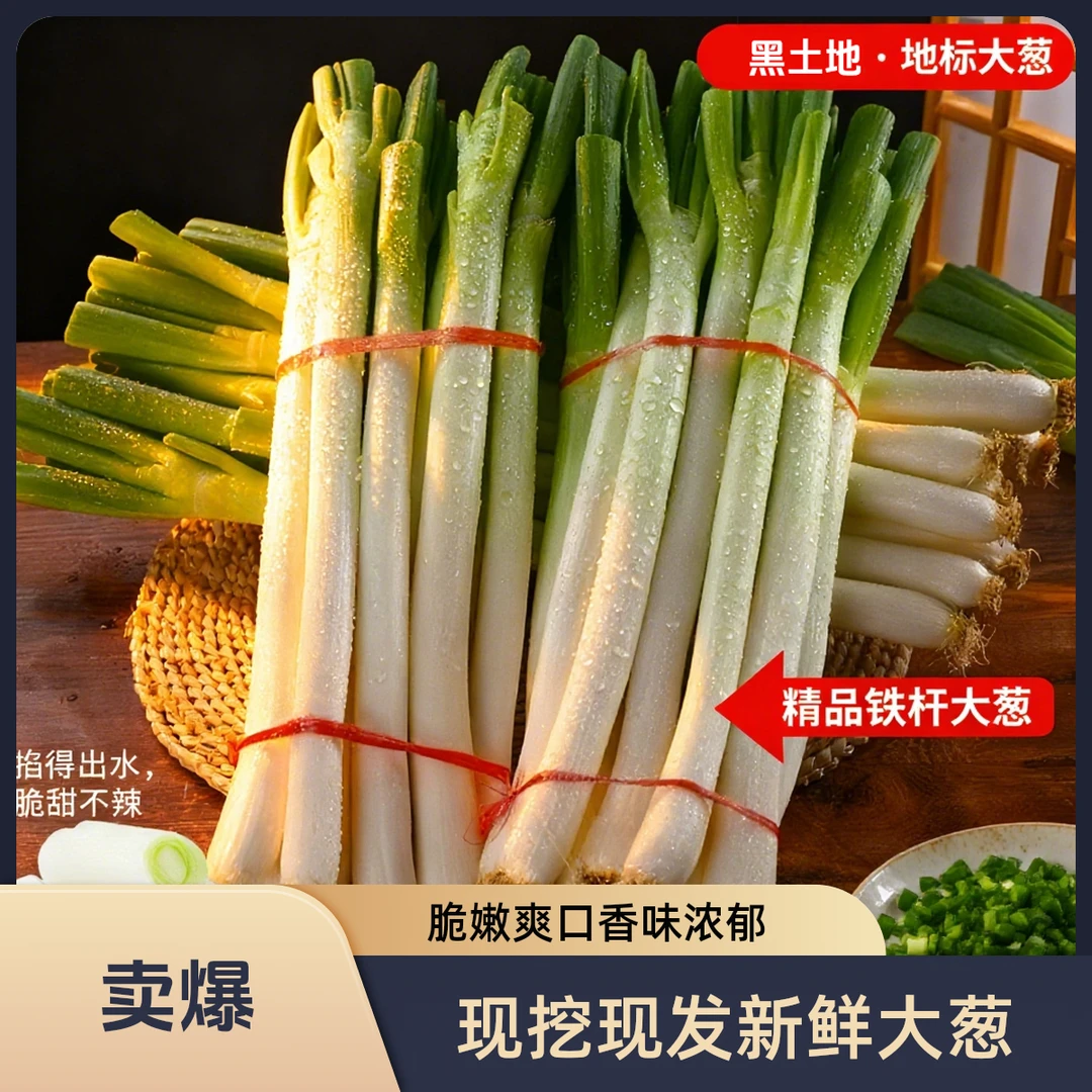 【带箱10斤】新鲜大葱现挖现发长白铁杆应季蔬菜产地直发炒菜生吃