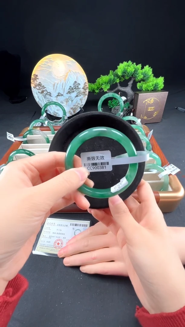 未镶嵌手镯石英质玉（非洲翠）真品上等纯天然非洲翠玉手镯石英质玉