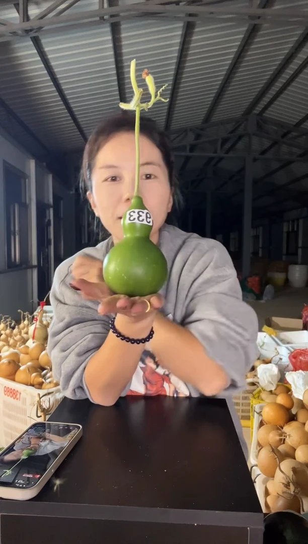 西****风933天然葫芦摆件 一物一拍龙头不保售后