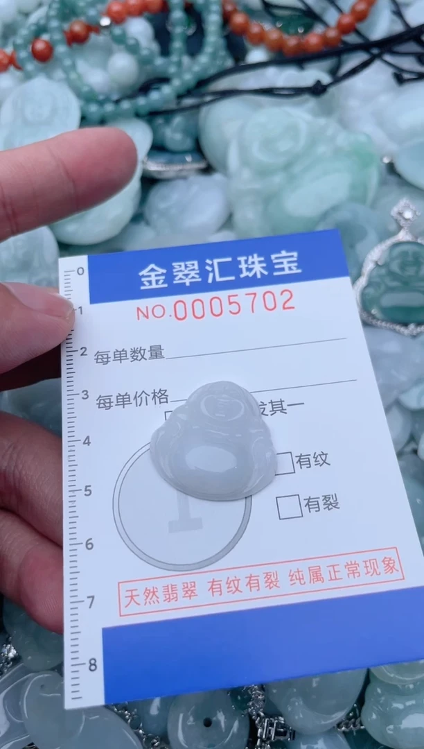 翡翠未镶嵌颈饰5702