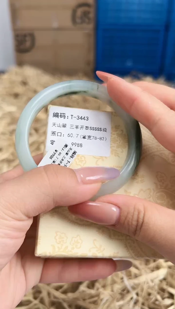 未镶嵌手镯石英质玉T-3443