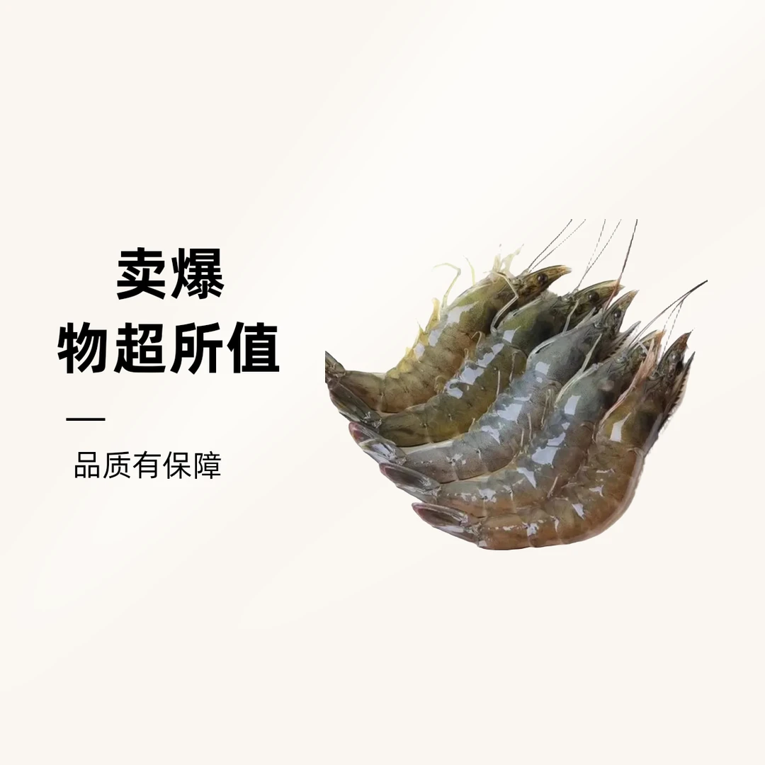 海捕大号活虾