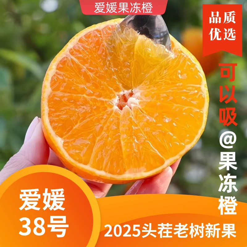 【现摘现发】正宗四川爱媛38号果冻橙新鲜应季水果清甜爆汁无仔嘉