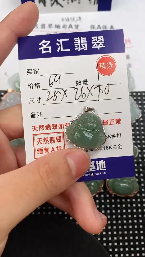 翡翠银S925镶嵌颈饰·