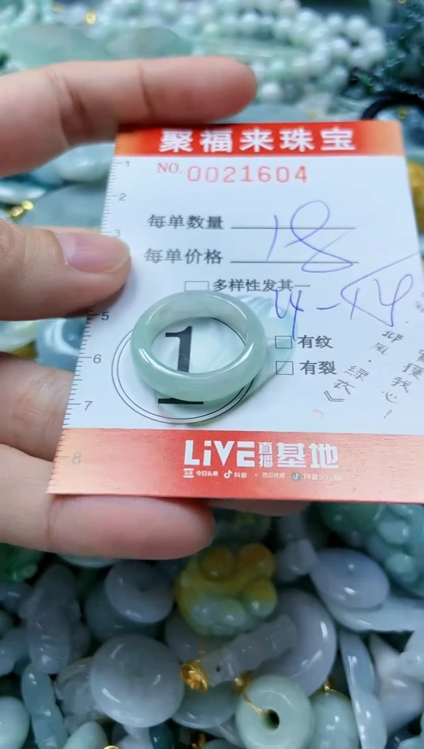 【闪购商品】翡翠颈饰未镶嵌闪购0021604