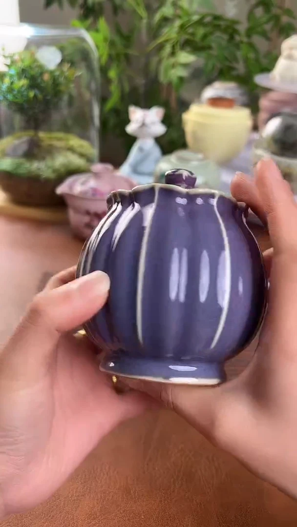 【闪购商品】.老实人茶具铺快客