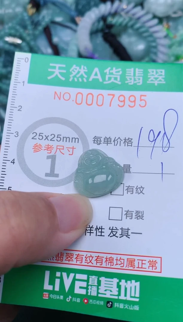 翡翠未镶嵌颈饰.0007995
