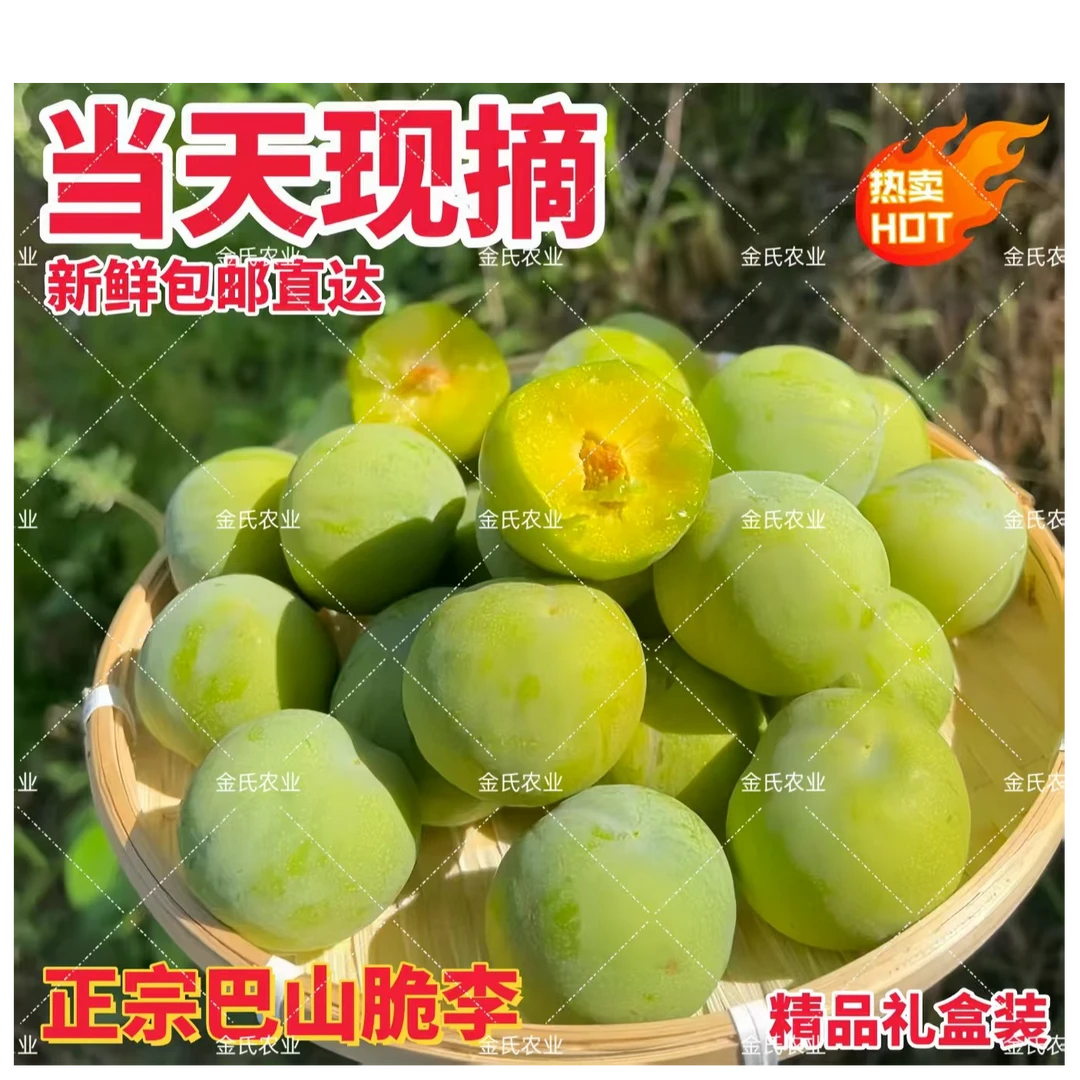 正宗巴山脆李 脱骨李 脆甜多汁现摘现发礼盒装五斤包邮