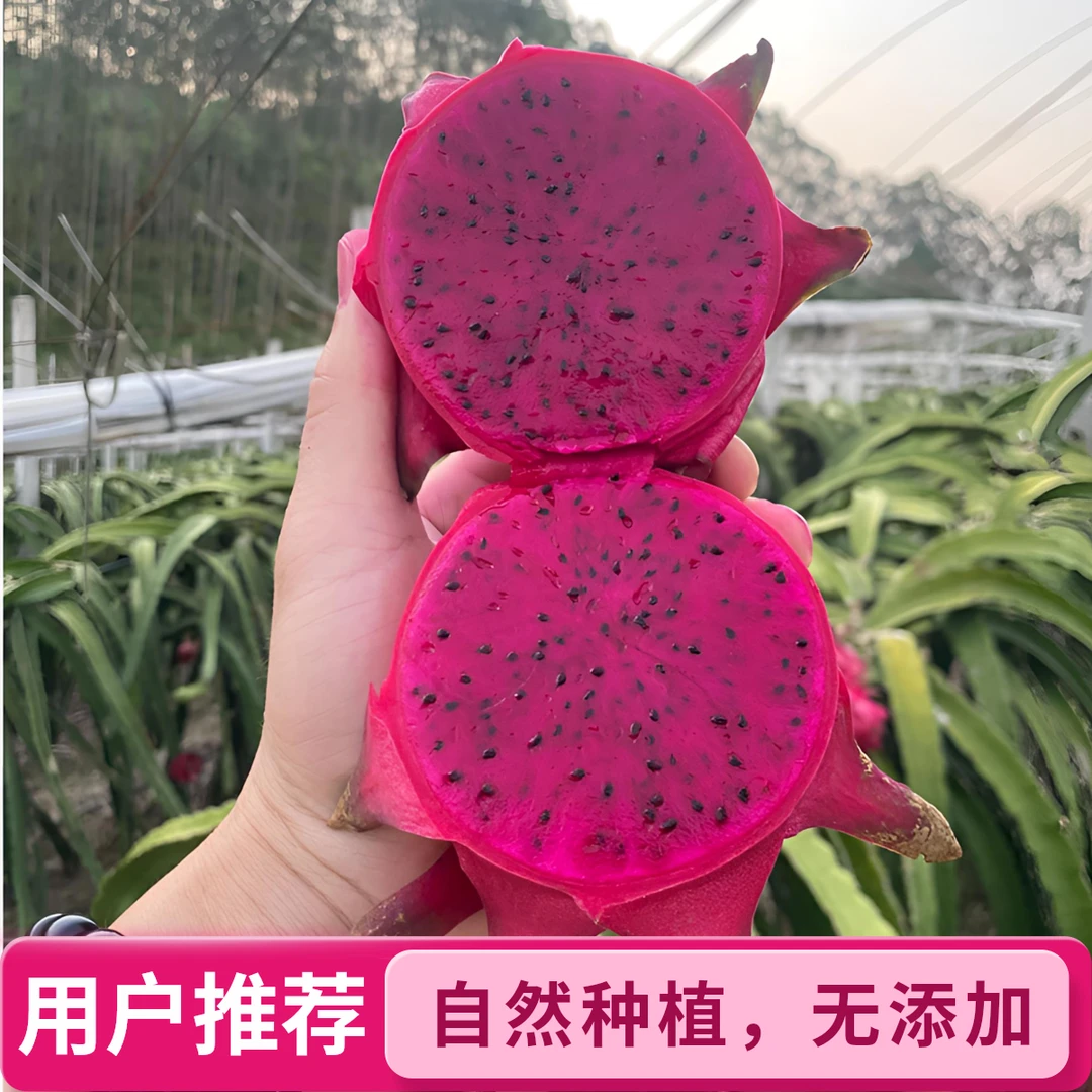 【红心火龙果】金都一号纯甜无酸广西新鲜现采 皮薄肉厚 香甜 饱满