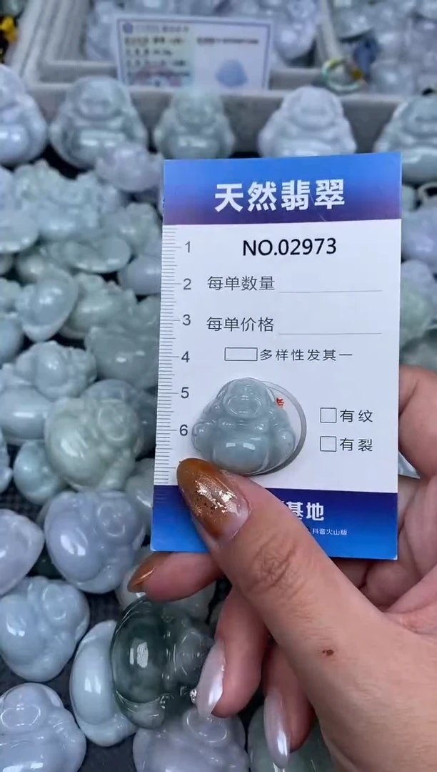 颈饰未镶嵌翡翠纯天然A货翡翠2973