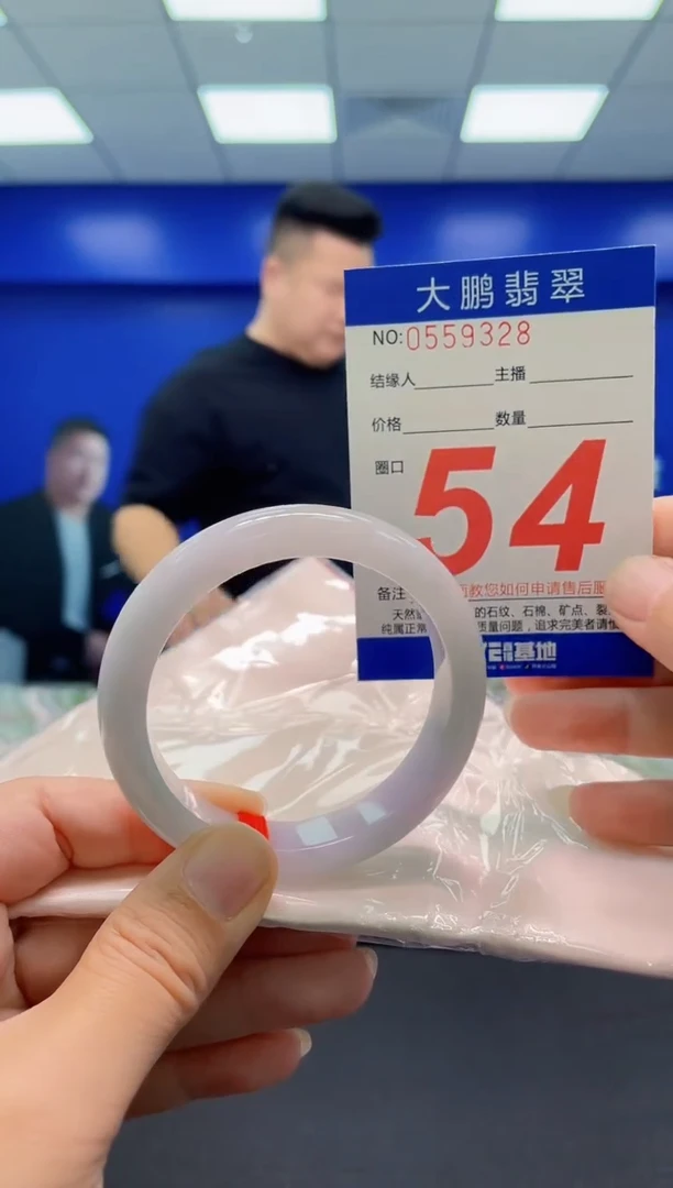 未镶嵌手镯翡翠AAAAAAAAA1