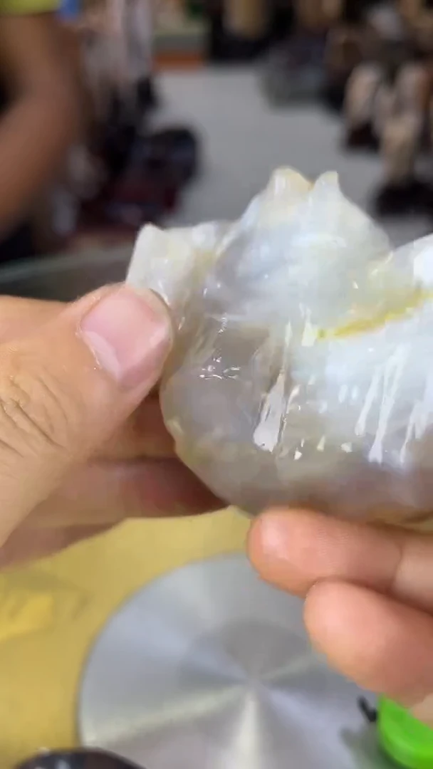 未镶嵌珠宝奇石硅化玉缅甸天然树化玉手把件