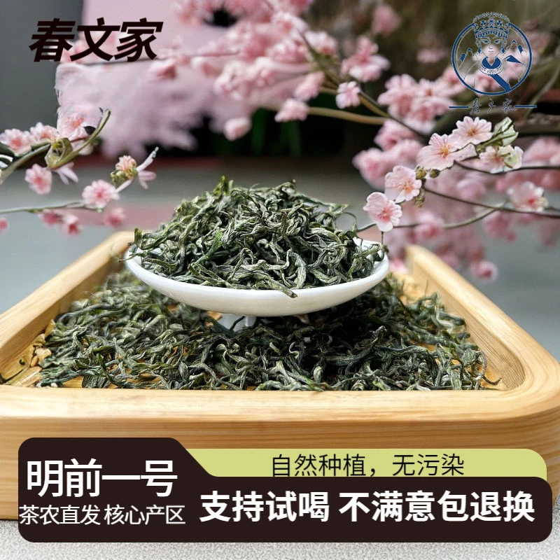 保靖黄金茶2025明前一号高山绿茶手工采摘好茶核心产区浓香型直发