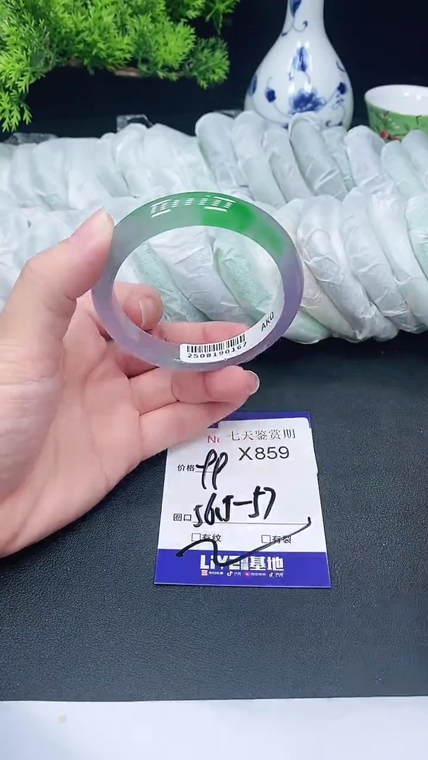 未镶嵌手镯翡翠859