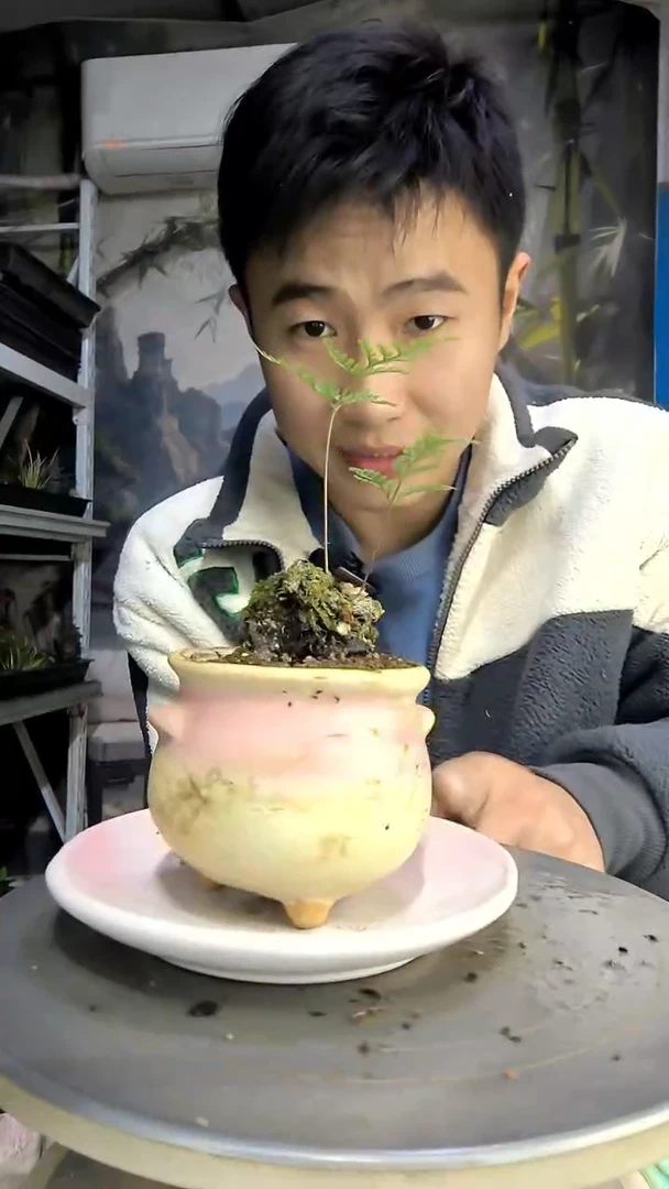 神*中青园艺一物一拍174