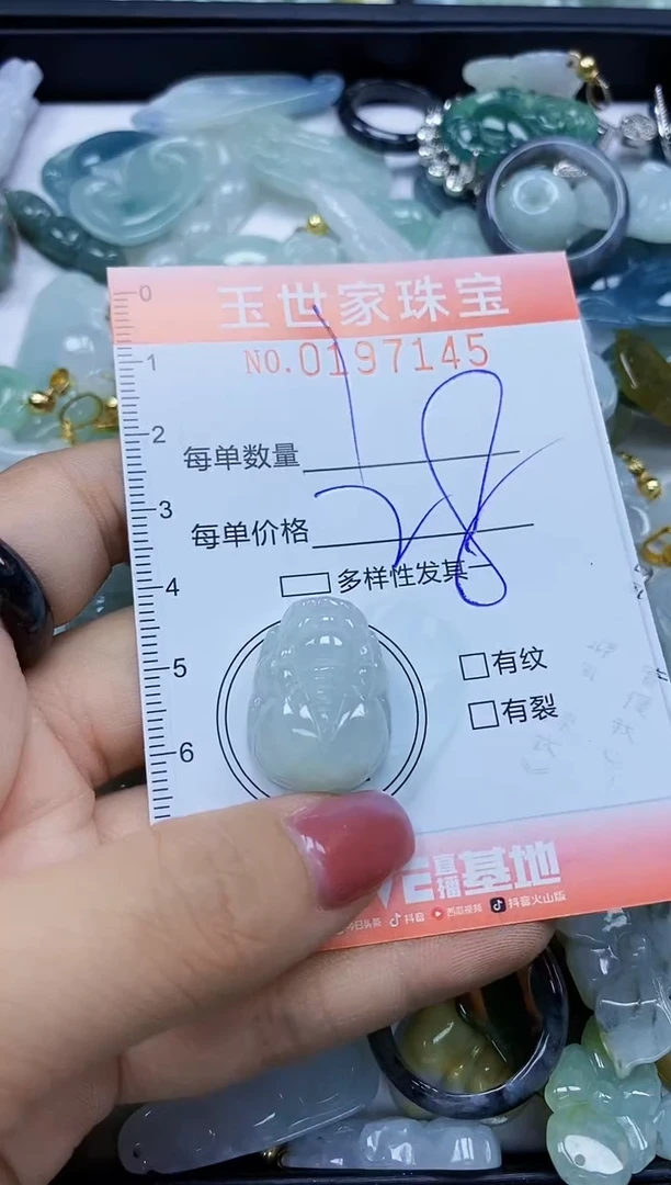 【闪购商品】翡翠颈饰未镶嵌闪购0197145