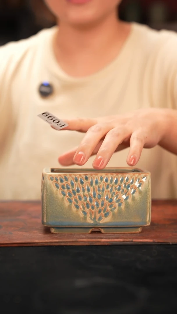 7-14-099花盆口径10*6