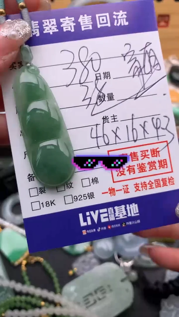 翡翠未镶嵌颈饰21013769