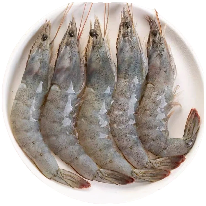 R 【今天拍明天到】海水大虾单只15cm左右四斤/盒含薄碎冰锁鲜 共50~60只海虾 顺丰冷链发货