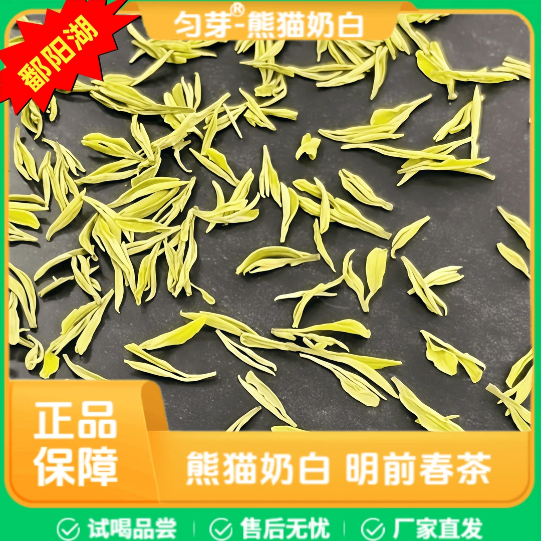 匀芽安吉奶白【鄱阳湖款】米粒 熊猫奶白头采奶香耐泡 特产 正宗