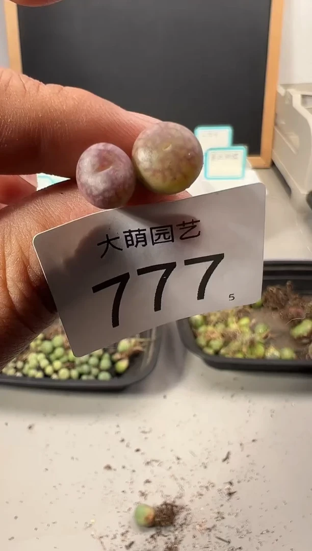 【闪购商品】++++777