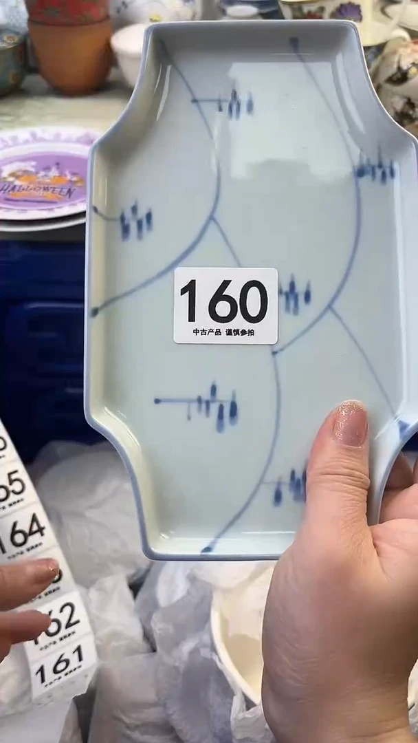 V**i160..............