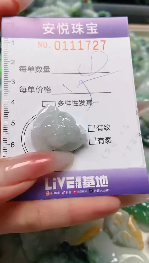 【闪购商品】翡翠颈饰未镶嵌闪购0111727