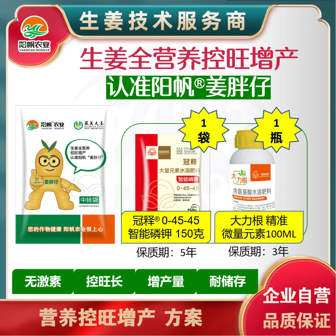 生姜全营养控旺增产叶喷无激素耐储存姜色好