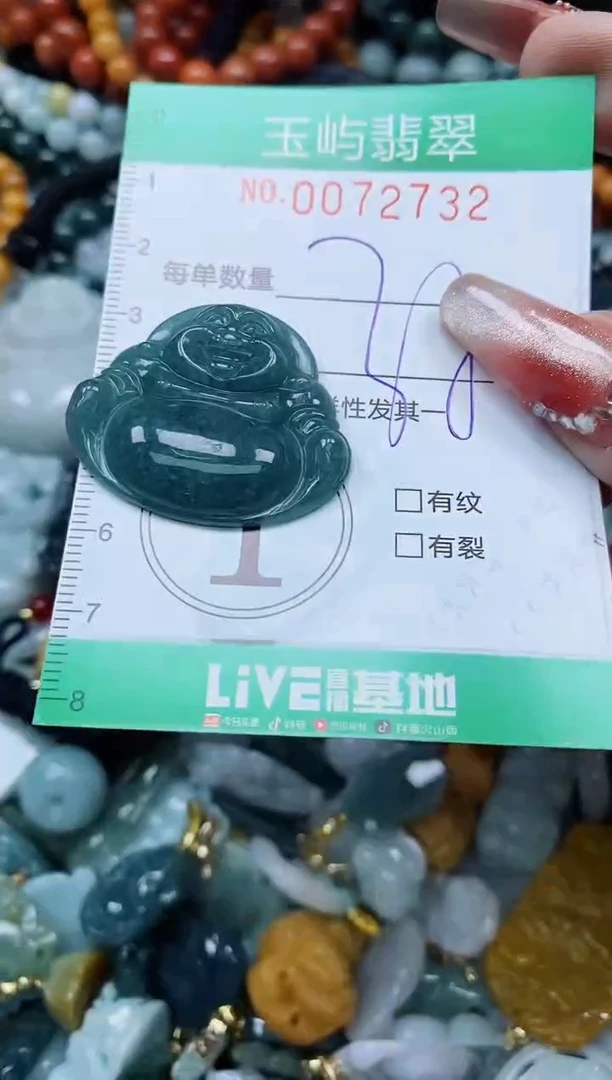 【闪购商品】翡翠颈饰未镶嵌闪购0072732