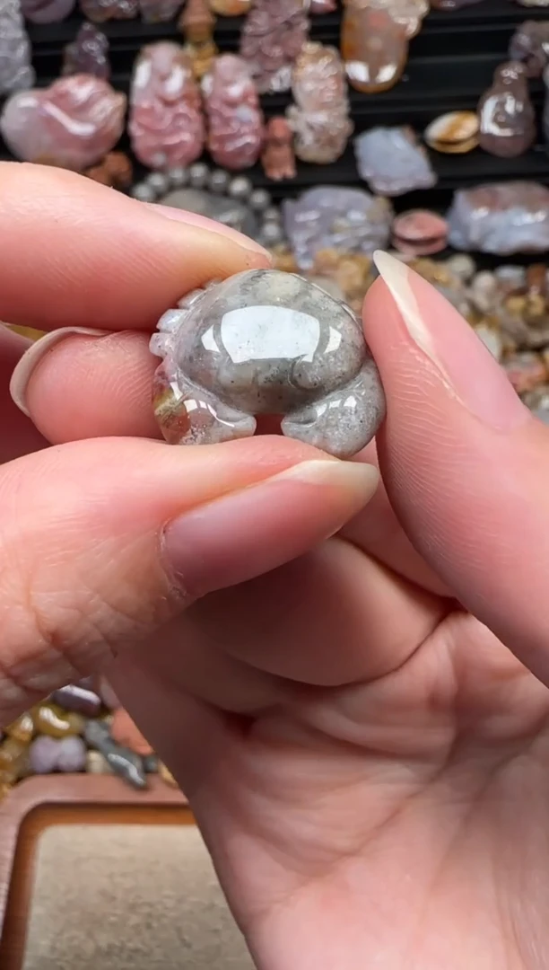 颈饰未镶嵌硅化珊瑚（珊瑚玉）294