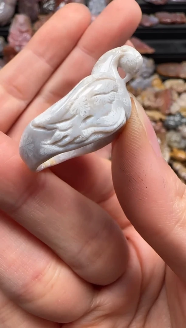 【闪购商品】硅化珊瑚（珊瑚玉）颈饰未镶嵌508