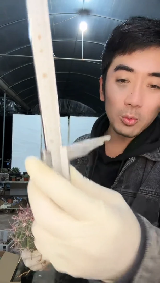 【闪购商品】女女女女